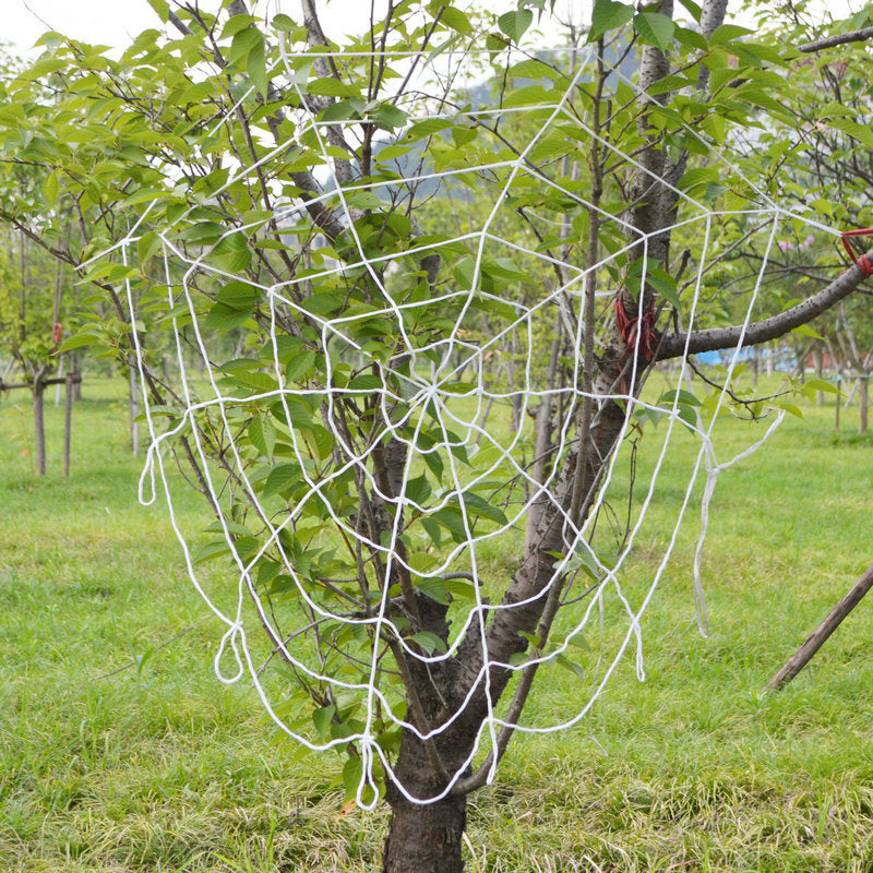 Halloween Ghost LED Glowing Spider Web